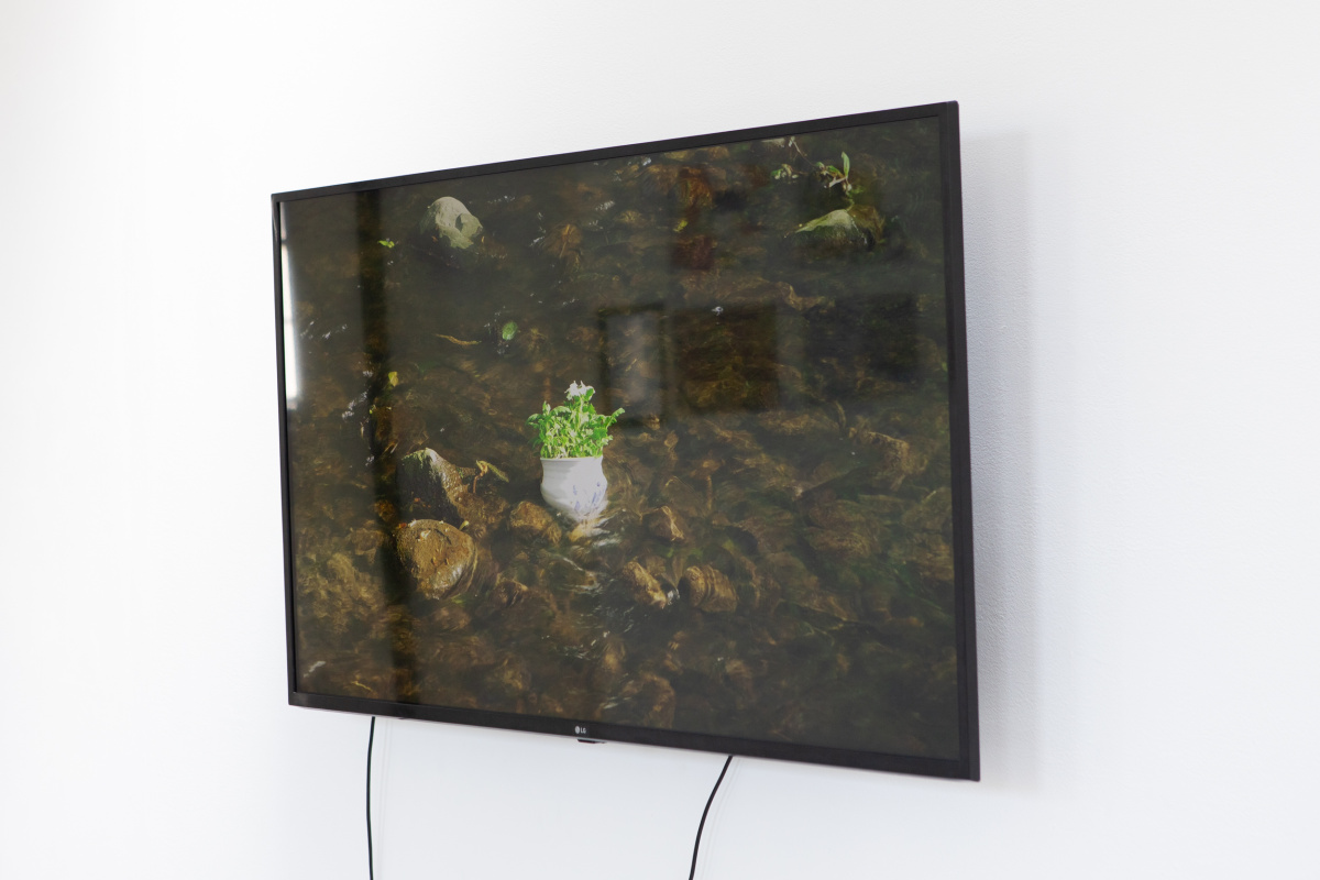 Adrian Uzzaman, ‘Conditions for Growth’, 2025. Video and installation , 244cm x 122cm x 16cm/7 minutes.