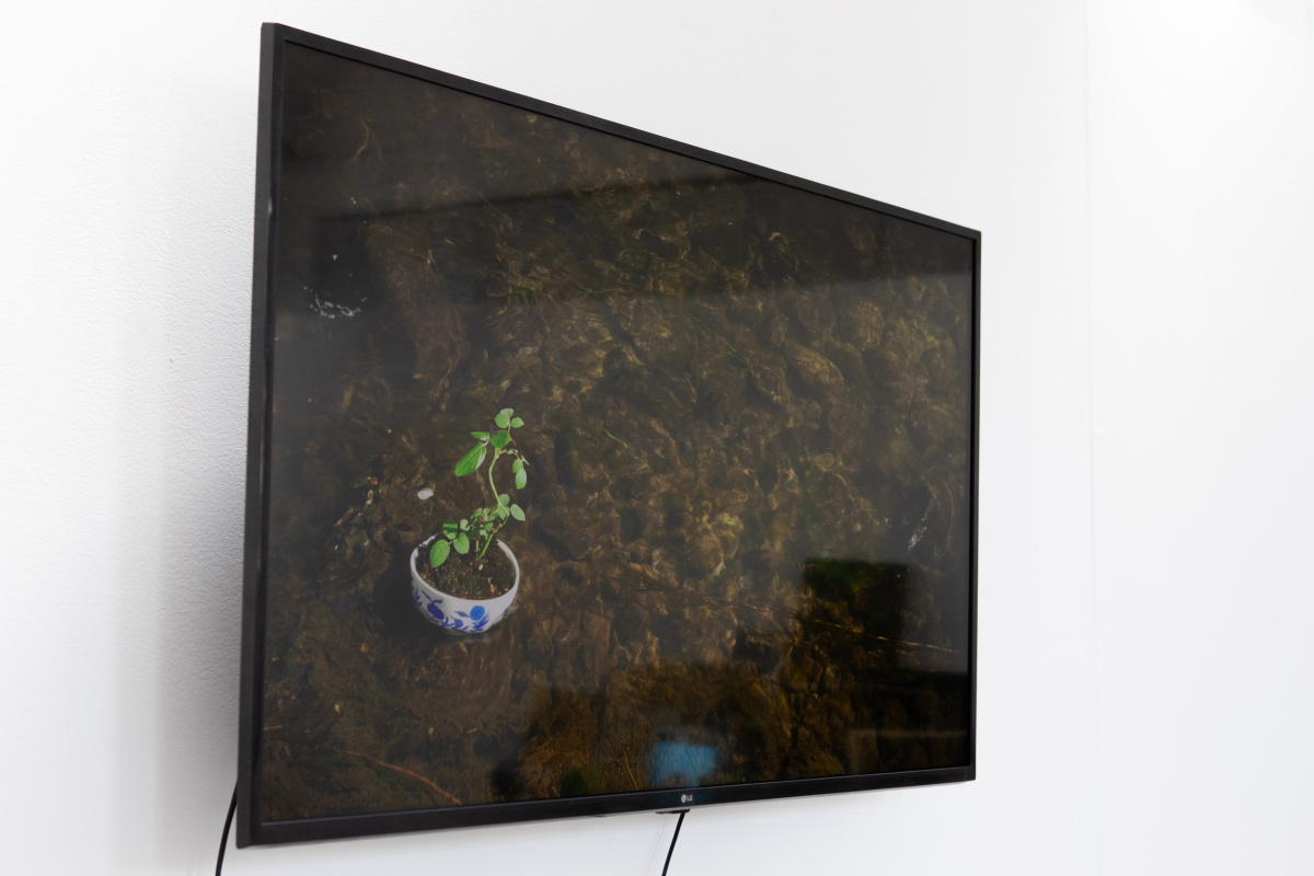 Adrian Uzzaman, ‘Conditions for Growth’, 2025. Video and installation , 244cm x 122cm x 16cm/7 minutes.