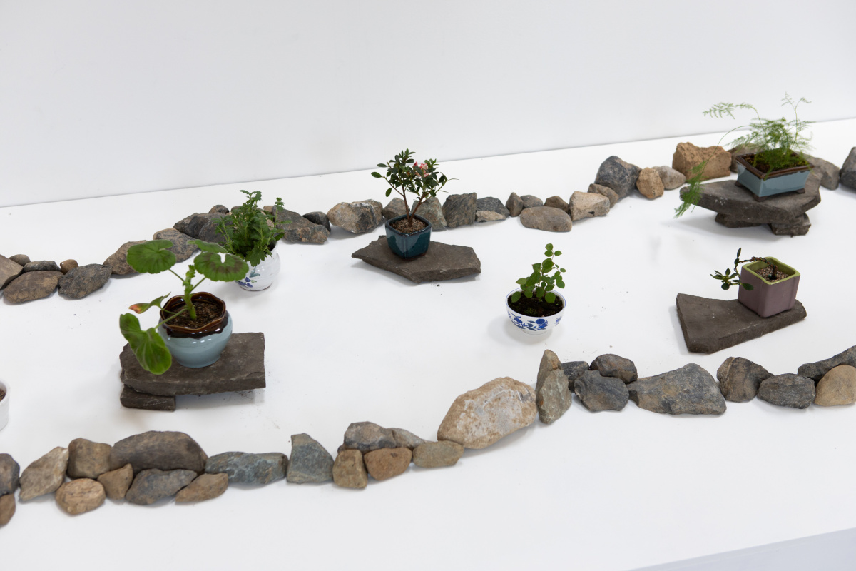 Adrian Uzzaman, ‘Conditions for Growth’, 2025. Video and installation , 244cm x 122cm x 16cm/7 minutes.