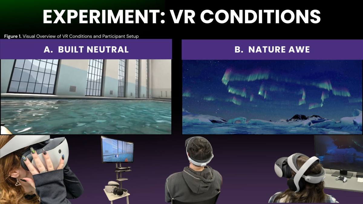 Experiment Conditions, Nature Awe and Built Neutral