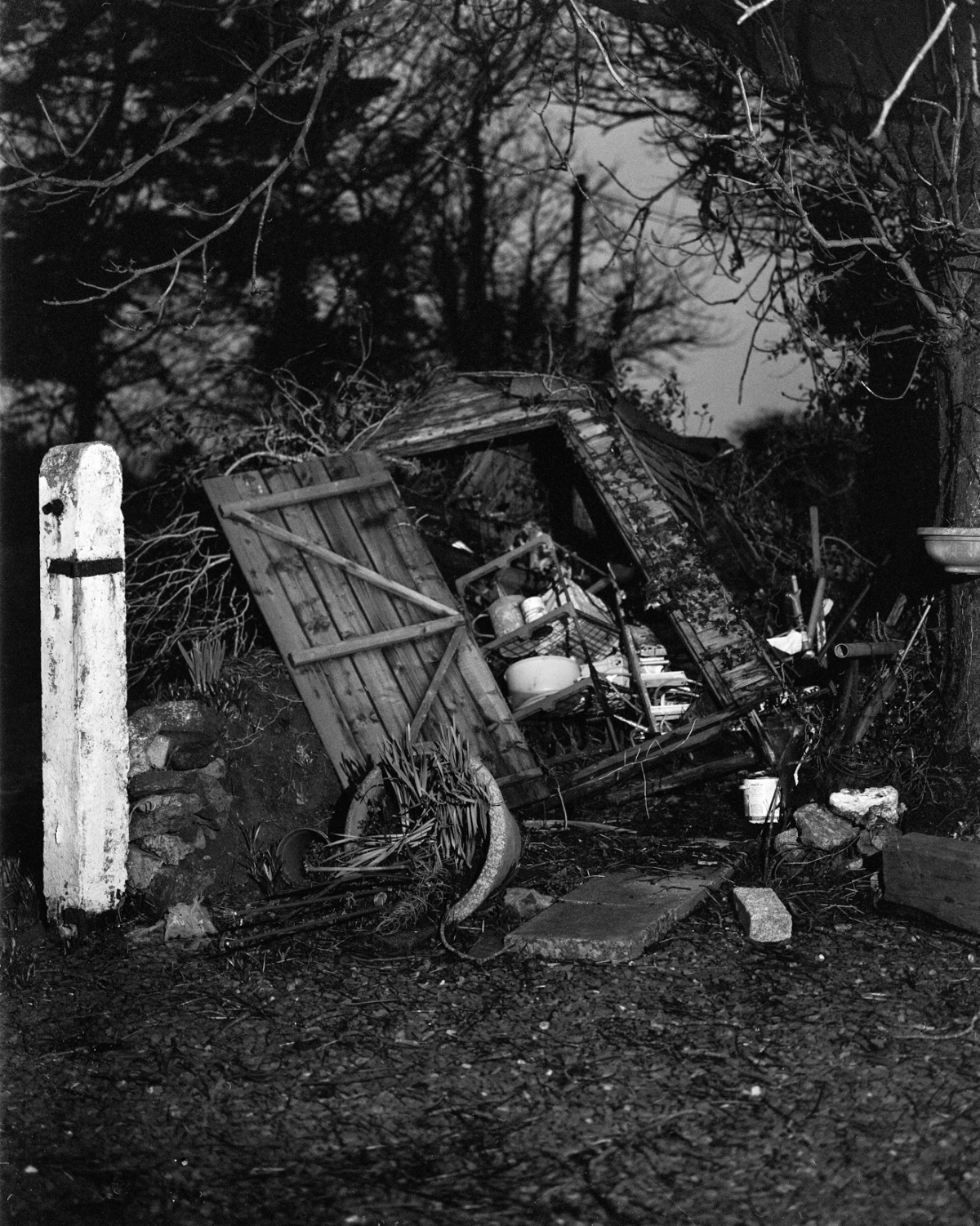 A black and white photograph of a dilapidated wooden shed that has partially collapsed, with its door hanging open and leaning forward. The shed is surrounded by overgrown vegetation and scattered debris, including garden tools, buckets, and various household items spilling out from inside. Bare tree branches frame the scene, and a weathered white post stands in the foreground on the left. The overall atmosphere is one of abandonment and decay.