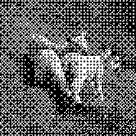 3 lamb grazing in a field