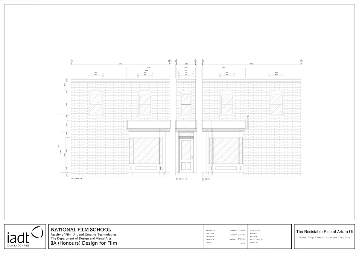 Autocad Elevations