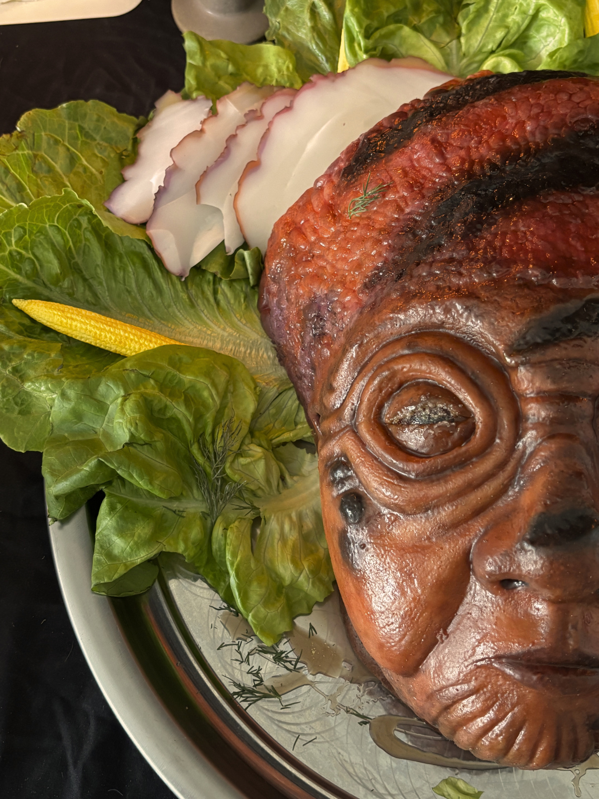Photo Showing Half of the Alien's Head