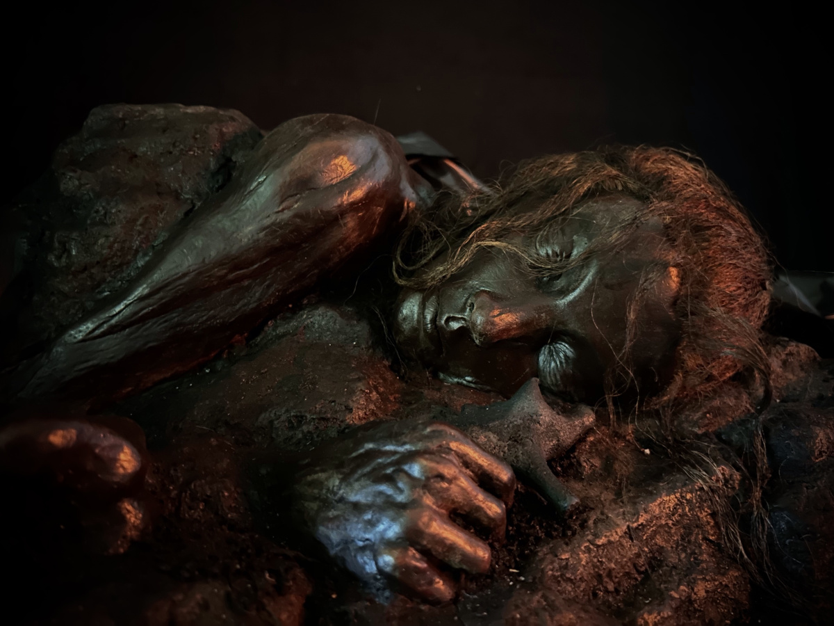 Up close shot of bog body