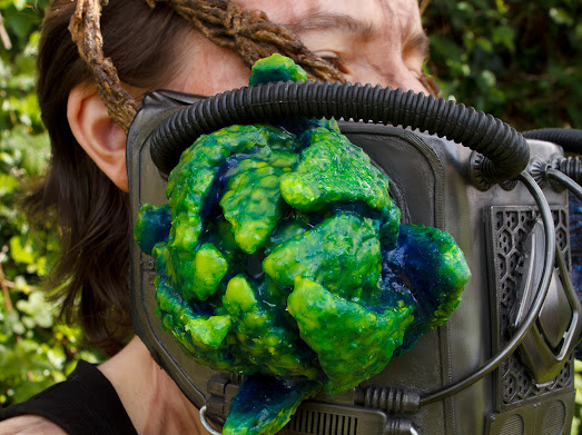 Close up photo of one of the respirator organisms
