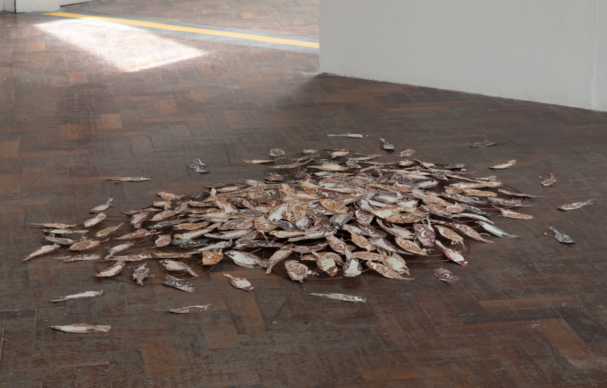 Pile of birds on the floor