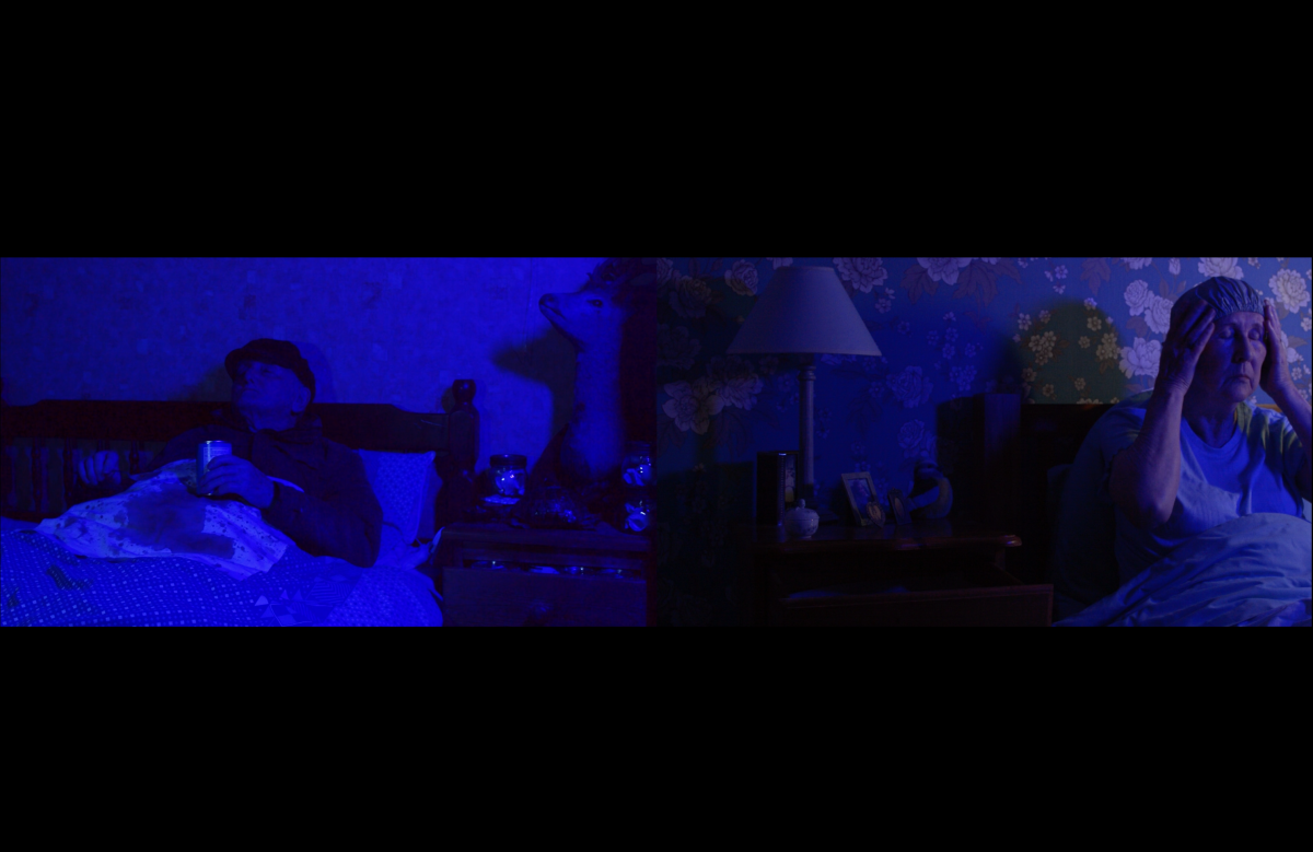 Siobhán Roulston, "The Lives of Familiar Strangers", 2026, short film, rt 14mins 14secs