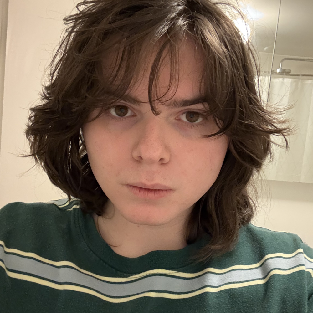 imange of a brunette 